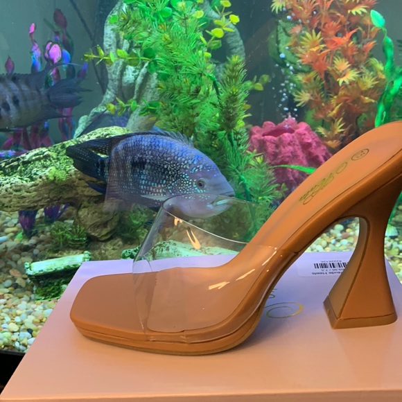 Clear Nude Heels - Picture 10 of 17